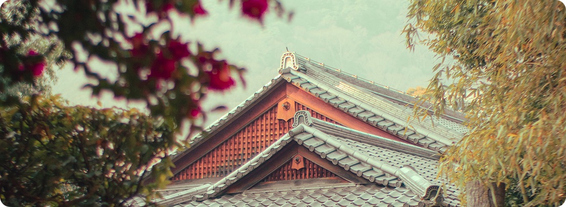 Traditional Japanese akiya property