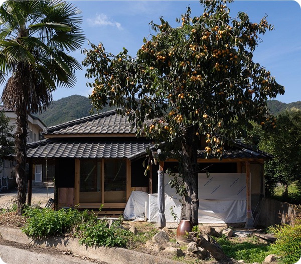 Traditional Japanese akiya property