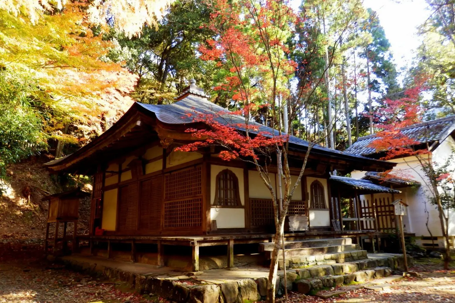 Akiya